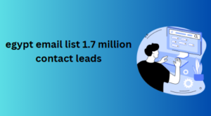 egypt email list 1.7 million contact leads