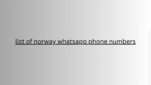 list of norway whatsapp phone numbers